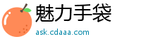 魅力手袋
